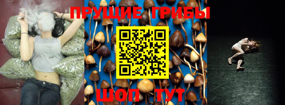Рубцовск  Галлюциногенные грибы прущие грибы  Псилоцибиновые грибы Psilocybe  Вход с VPN 